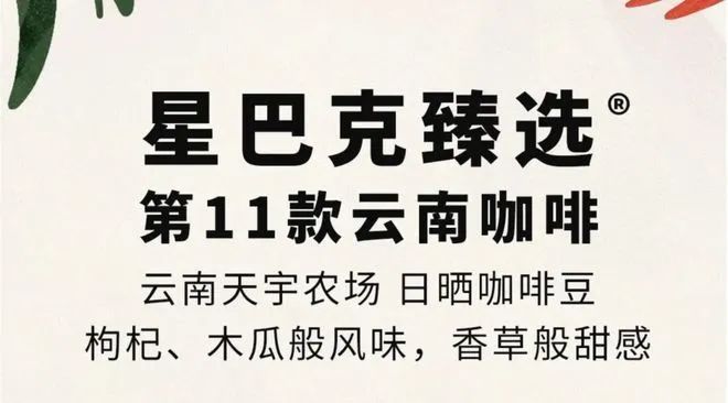 啡：彩云之南的馥郁传奇mg不朽情缘网站云南咖
