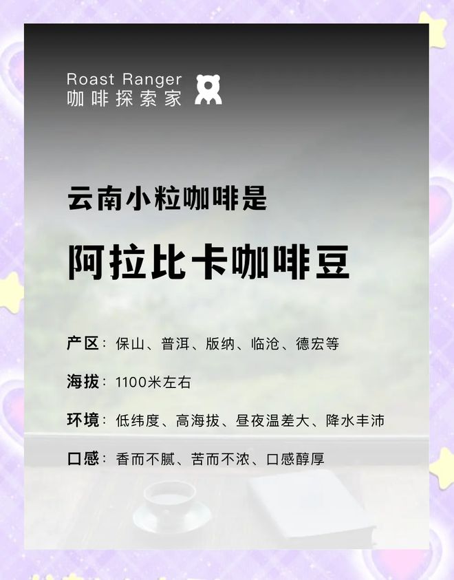 啡：彩云之南的馥郁传奇mg不朽情缘网站云南咖(图8)