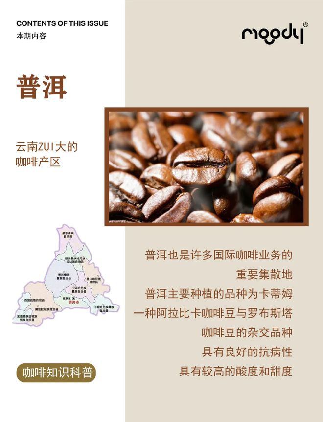 啡：彩云之南的馥郁传奇mg不朽情缘网站云南咖(图15)