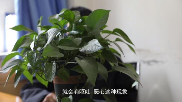 咖啡”被查！同款产品却仍在销售不朽情缘mg超千万元有毒“减肥(图3)