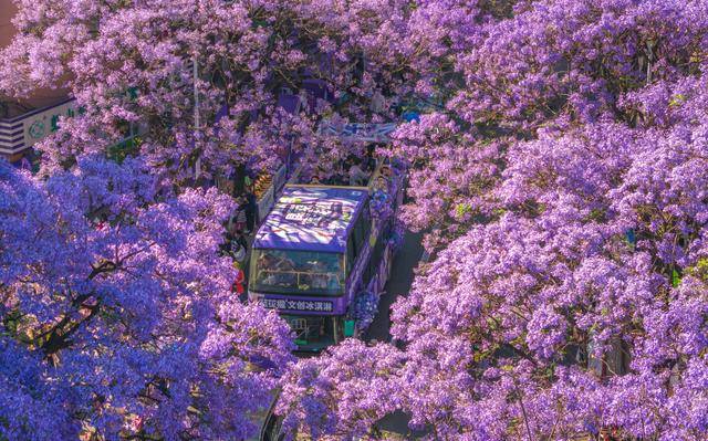 优服务繁荣文旅市场不朽情缘平台以更(图11)
