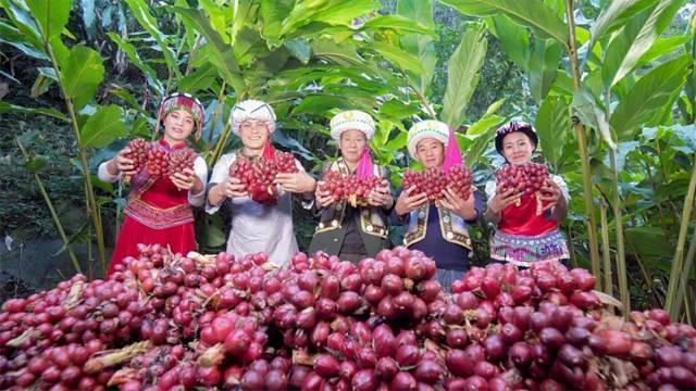 东方大峡谷的生态发展奇迹惊艳上海盛会