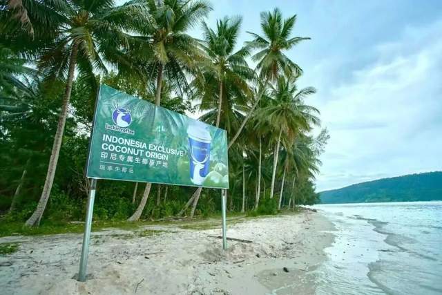 8年跑出一个“咖啡日常化”的中国范本不朽情缘游戏平台从99元到3万店瑞幸(图3)