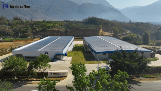 8年跑出一个“咖啡日常化”的中国范本不朽情缘游戏平台从99元到3万店瑞幸(图6)