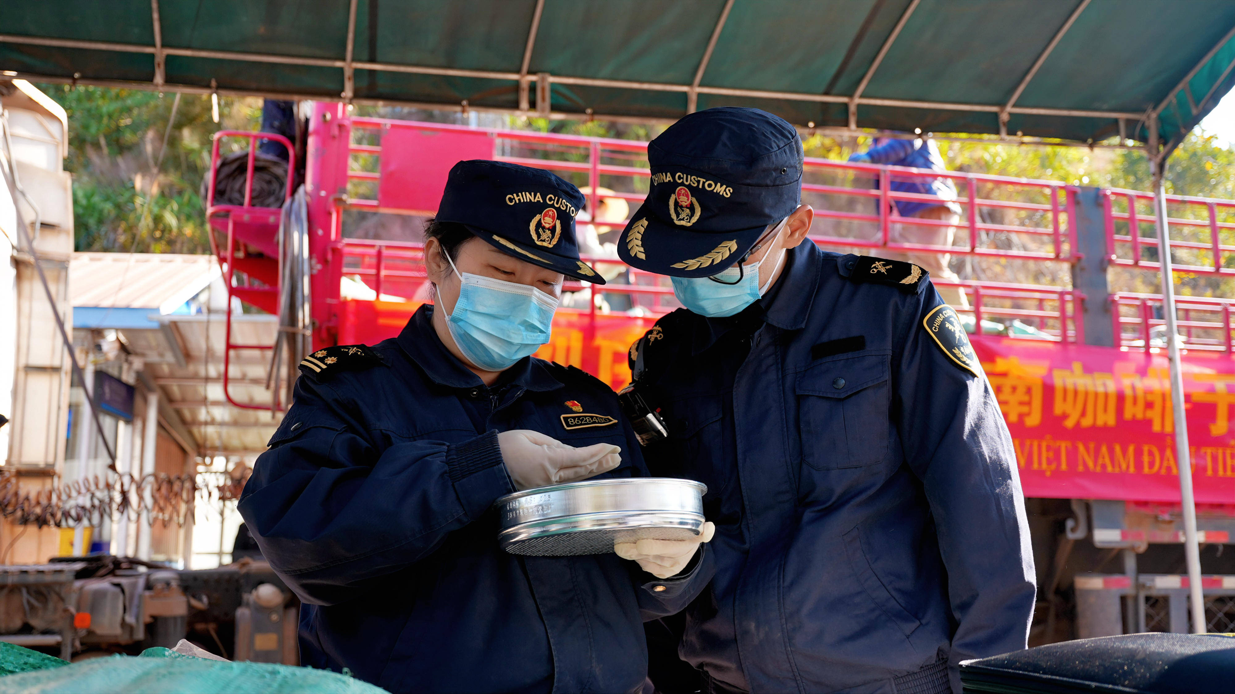 中国龙富—越南阿巴寨通道顺利通关进口不朽情缘电子游戏首单越南咖啡生豆经(图2)